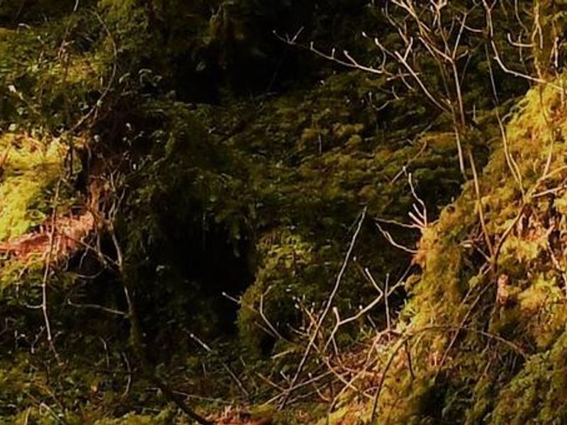 On the Trail Karta Lake