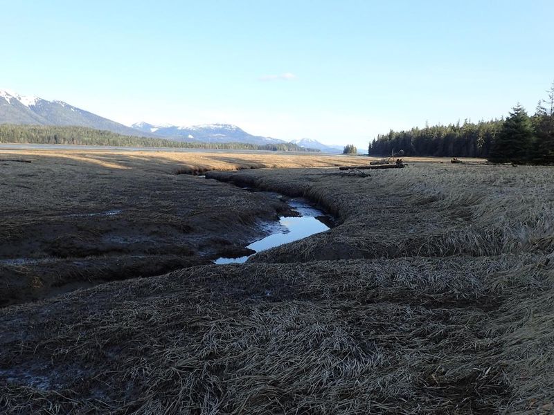 towers arm cabin channel low tide