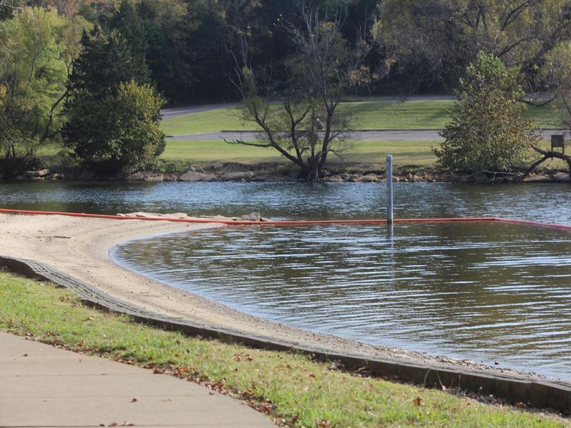 COOK DAY USE AREA - SWIM BEACH