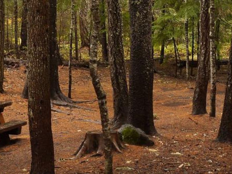 Peterson Prairie Campground