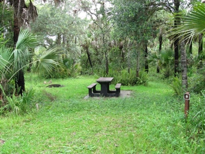 campsite at Pink Jeep Campground with picnic table and fire ring