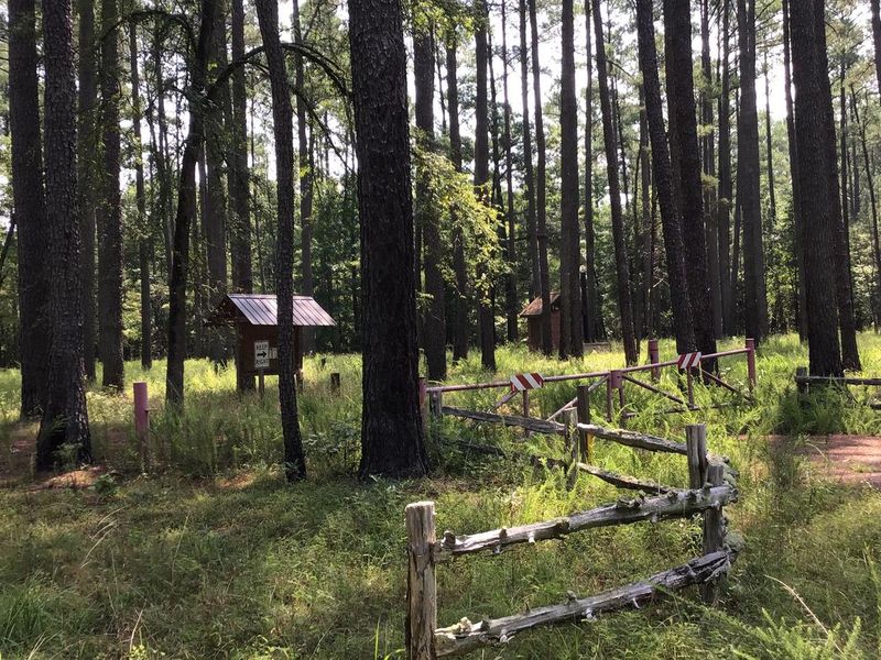 Poulous Loop Group Campground