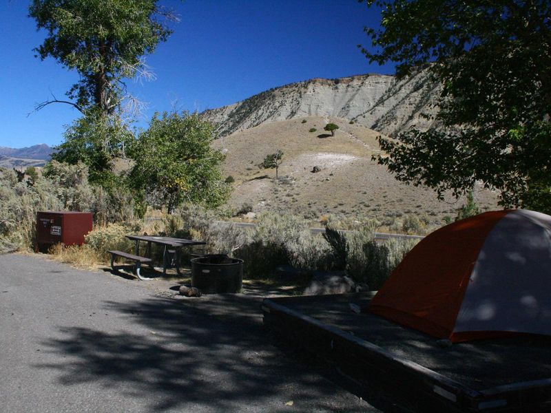 Mammoth Campsite #4