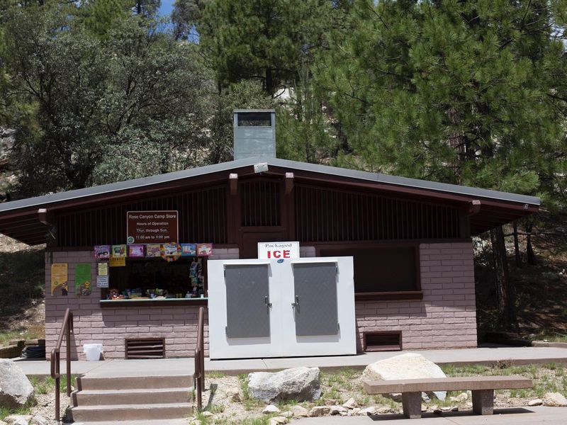 Rose Canyon Lake Campground