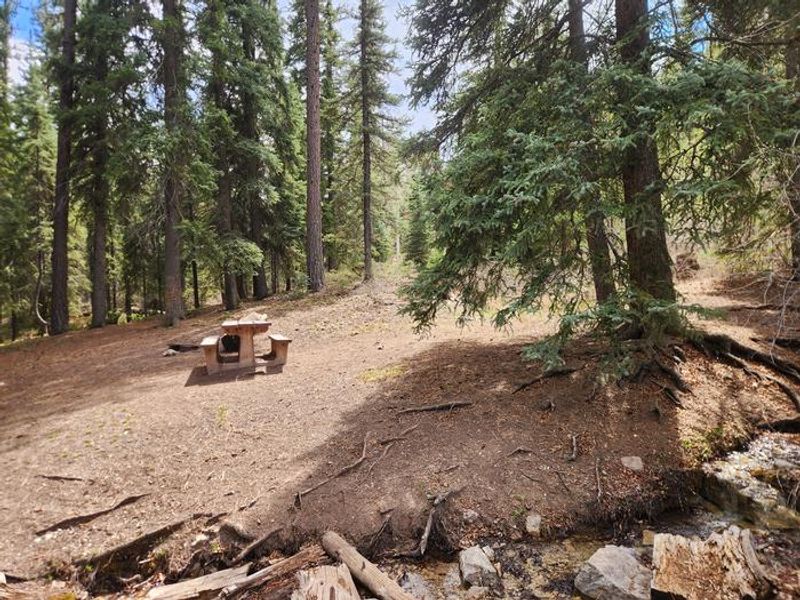 Site 4, located a short walk and hop across the stream