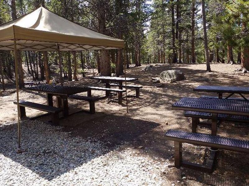 Printer Boy Group Campground picnic tables