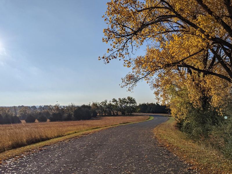 Road into School Creek
