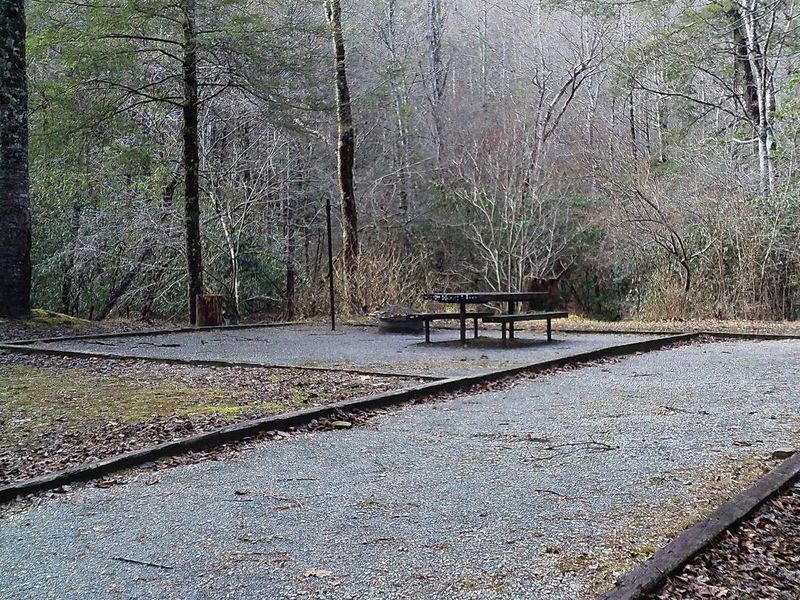 Welcome to Campsite #3