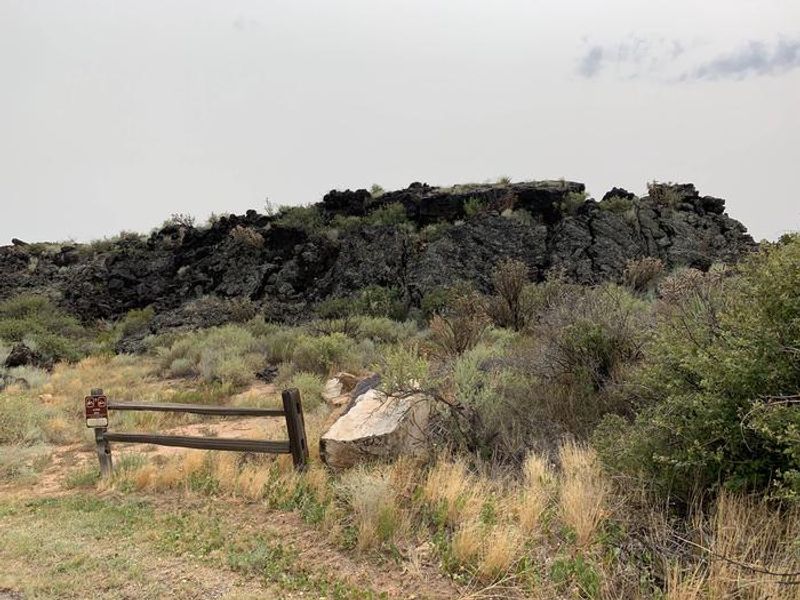 The dense vegetation inside of the lava provides excellent habitat for many species of wildlife.