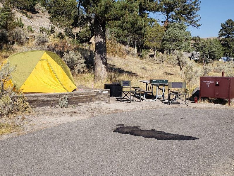 Mammoth Campsite #15