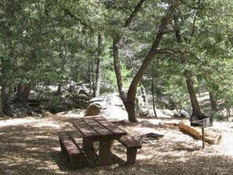 Fry Creek campsite