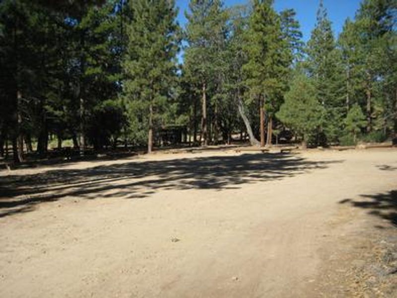 Wide open area at the Lobo Group Campground