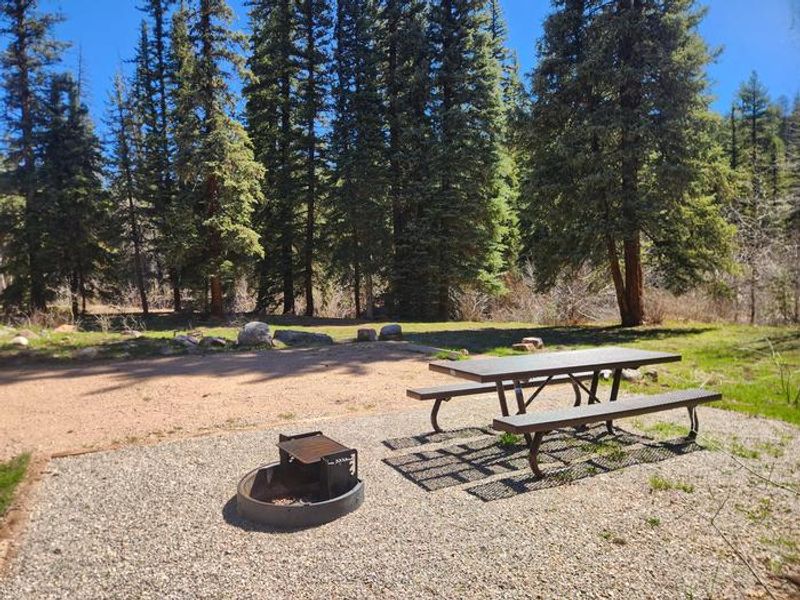 Florida offers several first-come single camp sites, some double sites, and one reservation only group site