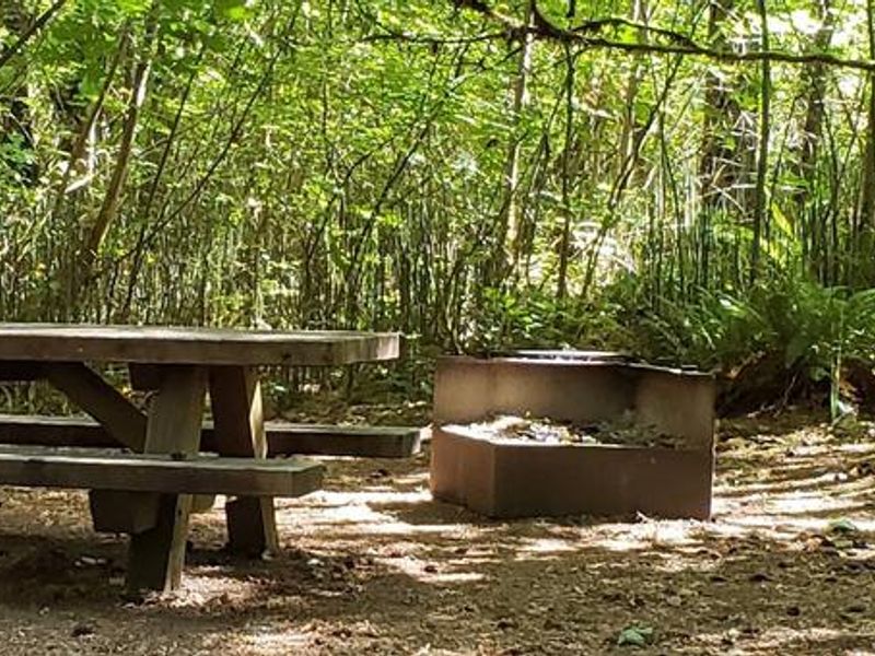 Horseshoe Bend Campground