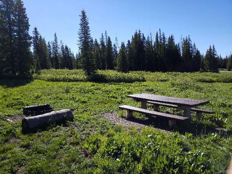 Dumont Campground, Rabbit Ears Pass