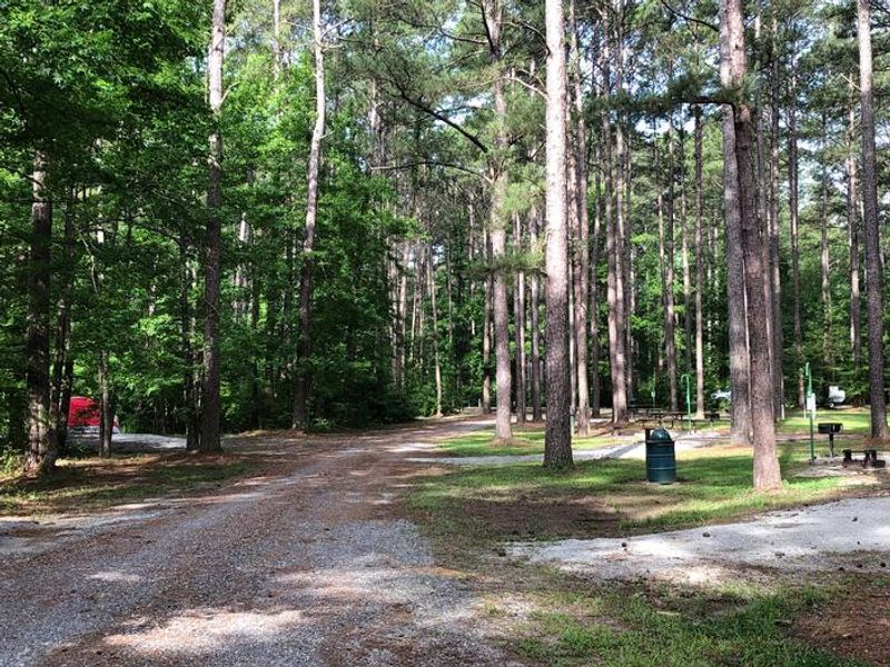 Beginning of summer season at Tom Merrill. 