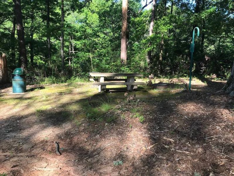 Campsite #9. Tent site with the following amenities: fire-pit, grill, picnic table, lantern pole, trash can. Located along bayou.