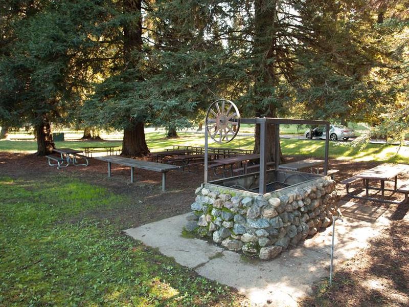 Redwood Hollow Group Picnic #1