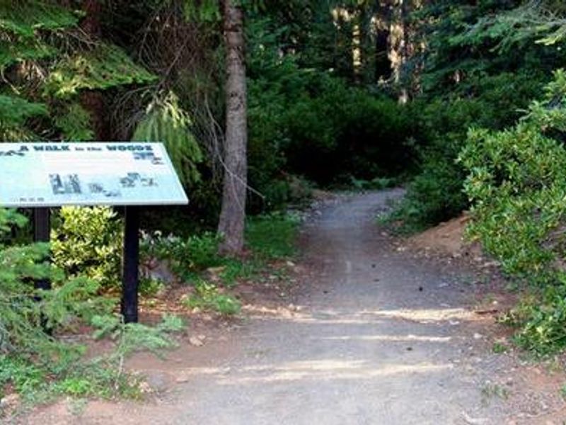sign and trail