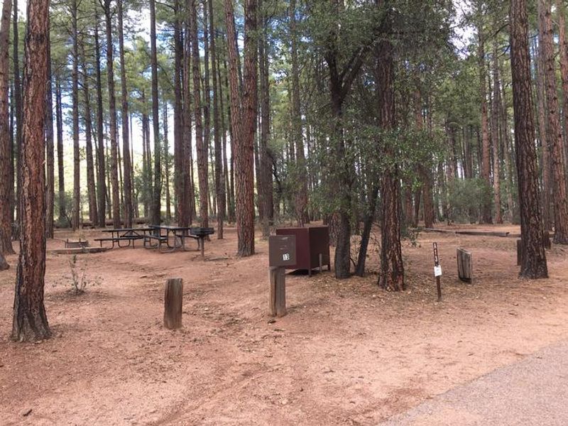 Ponderosa Campground