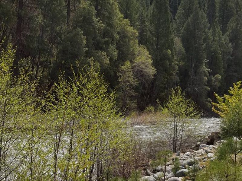 North Fork Yuba River at Union Flat