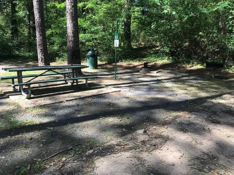 Shaded Class A Campsite #11. RV pad, water, and 20/30/50 AMP electric hook-ups as well as basic campsite amenities including a picnic table, lantern post, fire ring, trash can and grill.