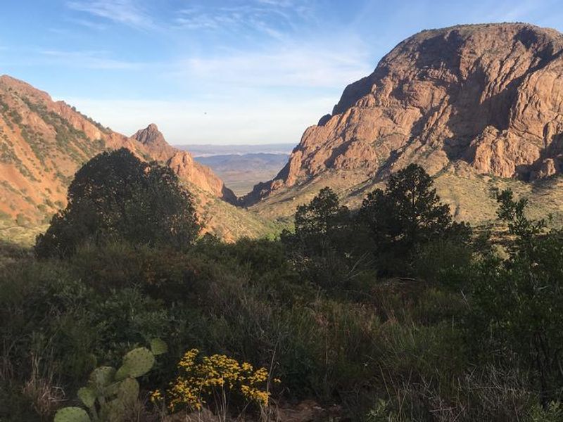 View of the Chisos Basin area