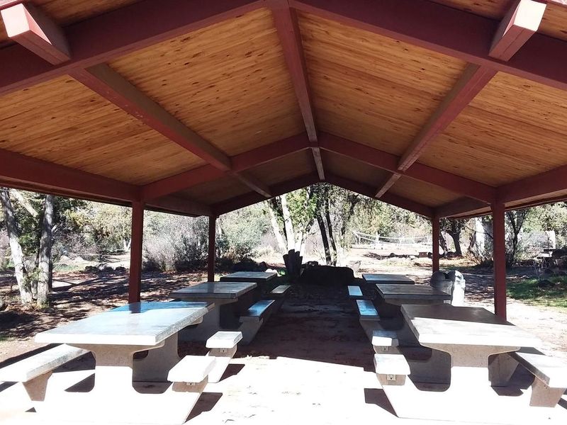 Shaded picnic site.