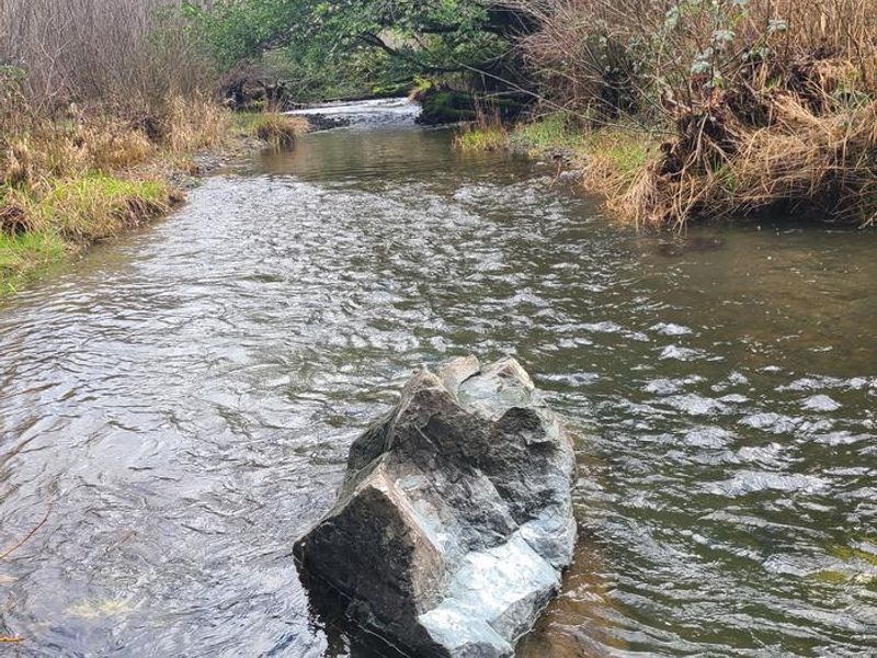 Edson Creek runs behind and alongside the campground meadow