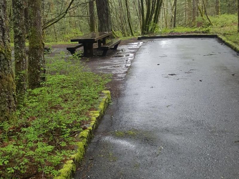 Wyeth campground Site #2