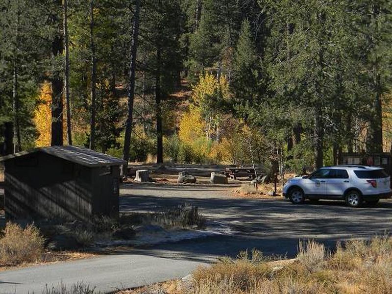 Road leading into Lower Little Truckee Campground.