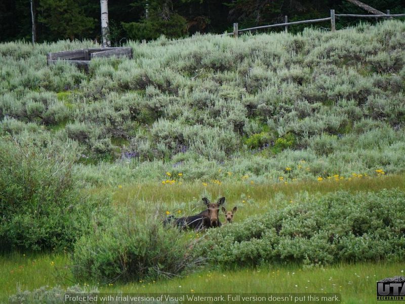 Meeks Cabin Campground