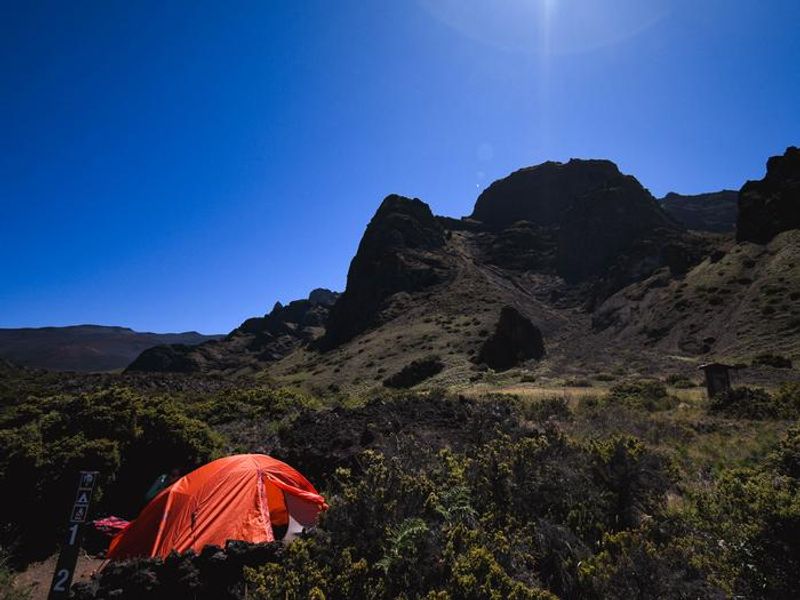 Campers find shade at tent area 1