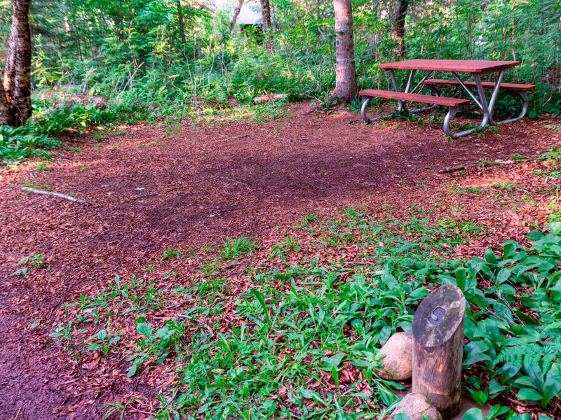 Washington Creek Campground has more shelter sites than tent sites.