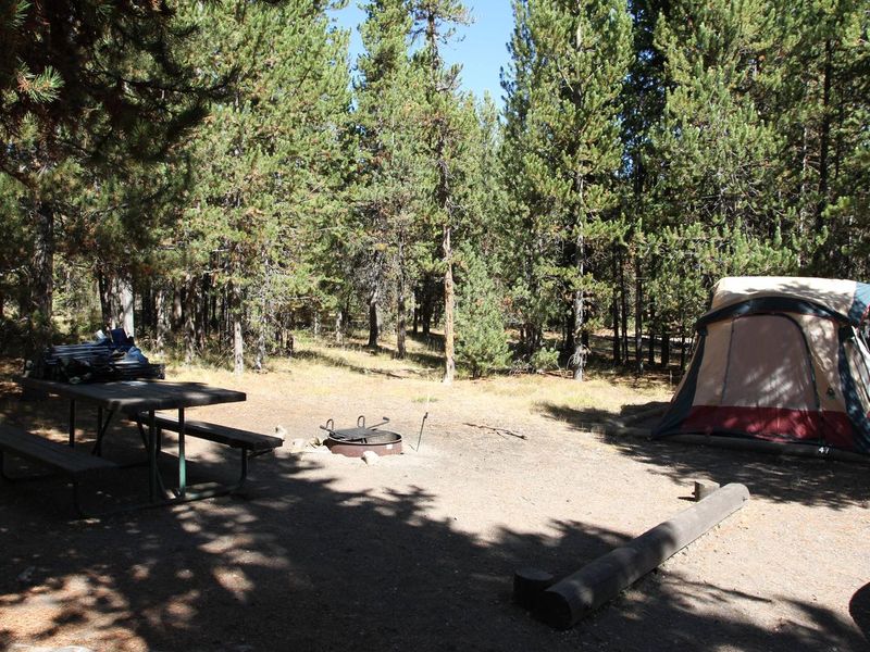 Indian Creek Campground site #47