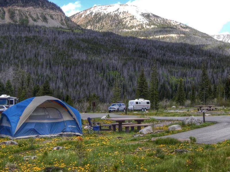 A Tent Pitched at Timber Creek Campground
