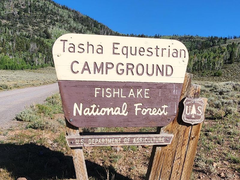 U.S. Forest Service sign located before the entrance to Tasha.