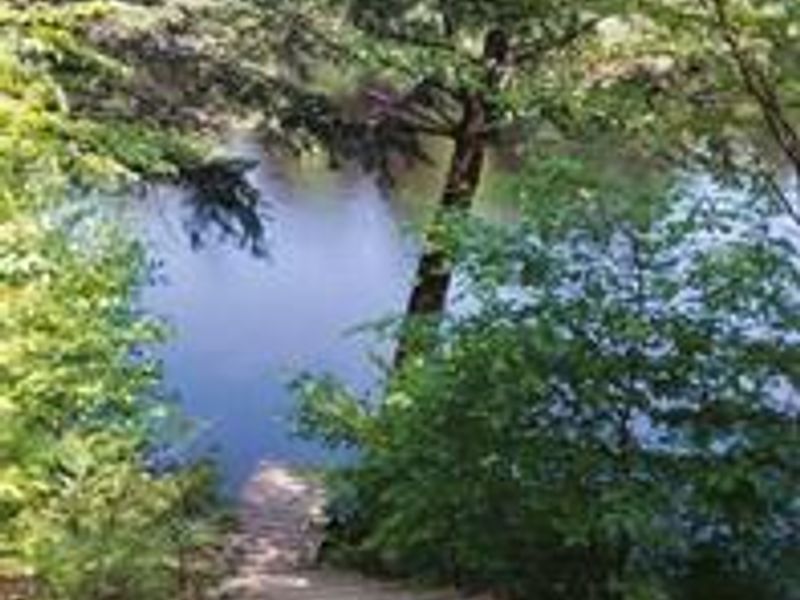 A small series of steps takes campers down to the lake at site 8