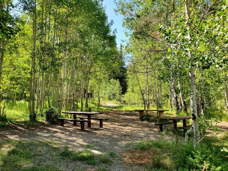 Gooseberry Group Campground Site #3