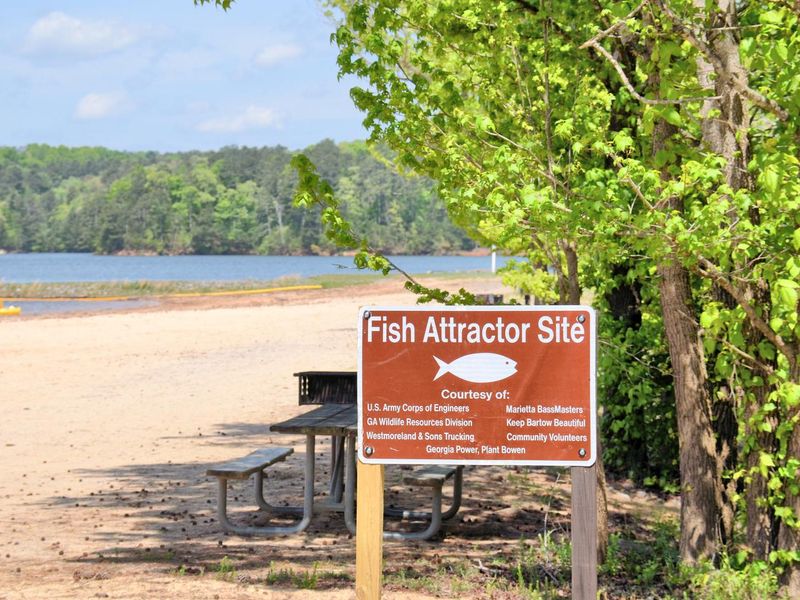 Victoria Day Use Fish Attractor Site