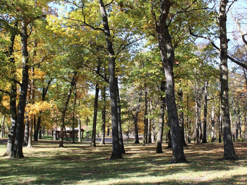 OAK GROVE PICNIC AREA