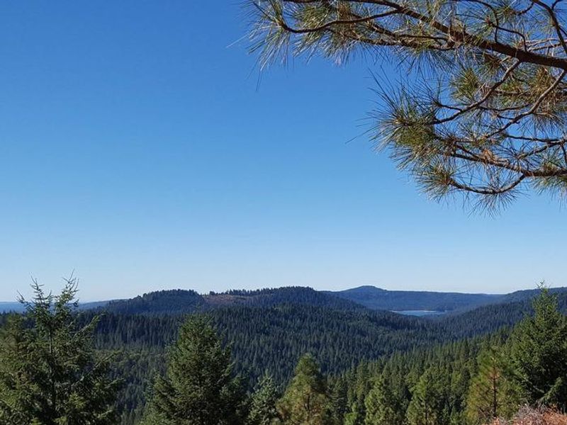 Pioneer Trail near Skillman Campground