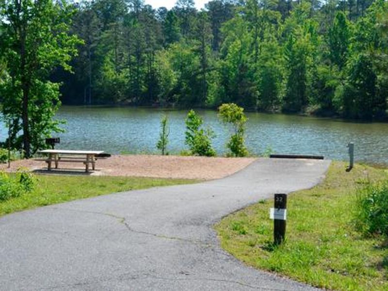 Payne Campground Campsite