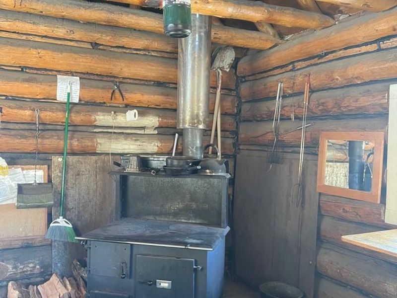 Cooking and Heating Wood Stove