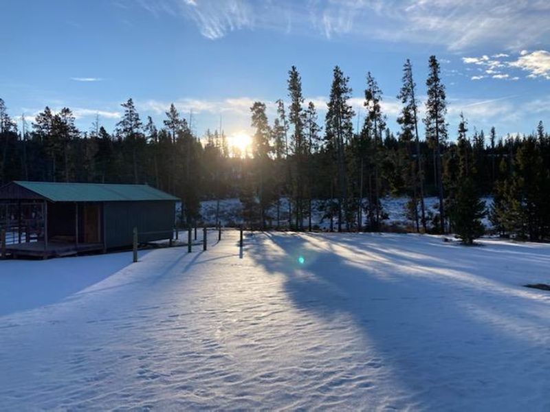tack shed looking out 