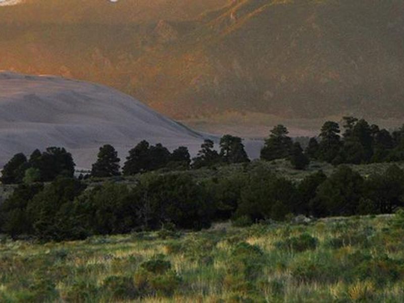 Pinon Flats campsite at sunset.