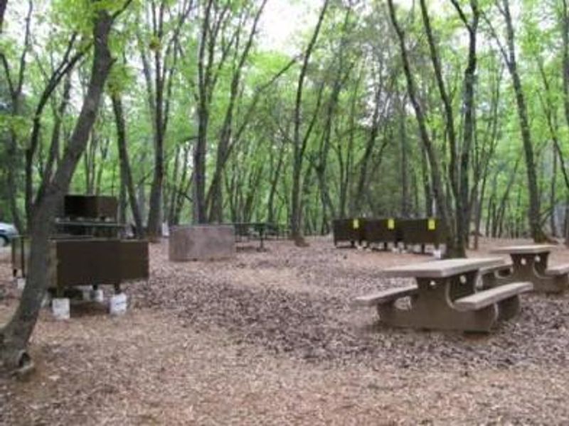 Dry Creek Group Campground picnic area