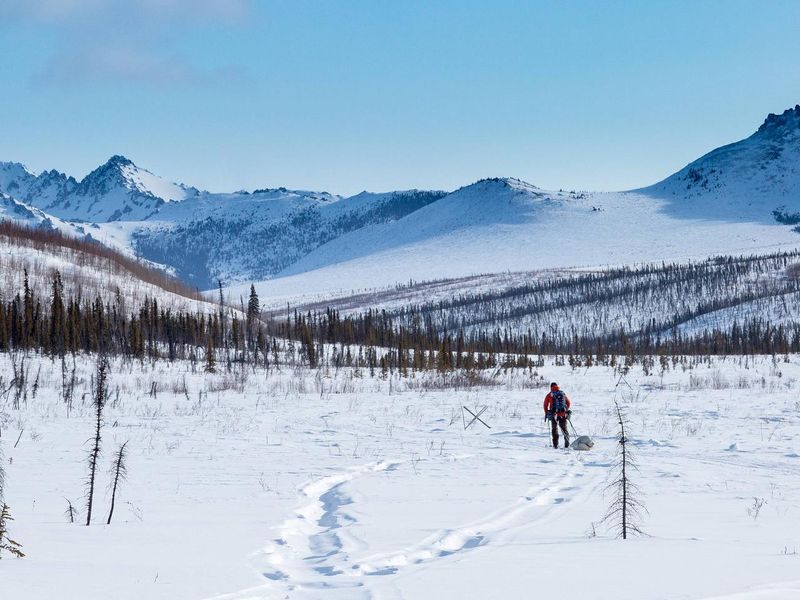 A lone skier makes his way up the Windy Creek Trail near Wolf Run Cabin.