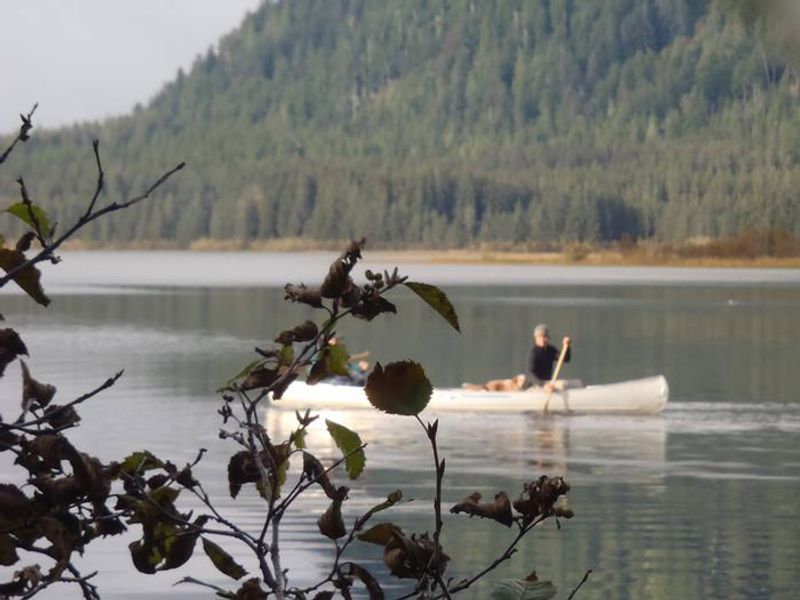 View from the cabin looking at 2 people in the lake with their dog