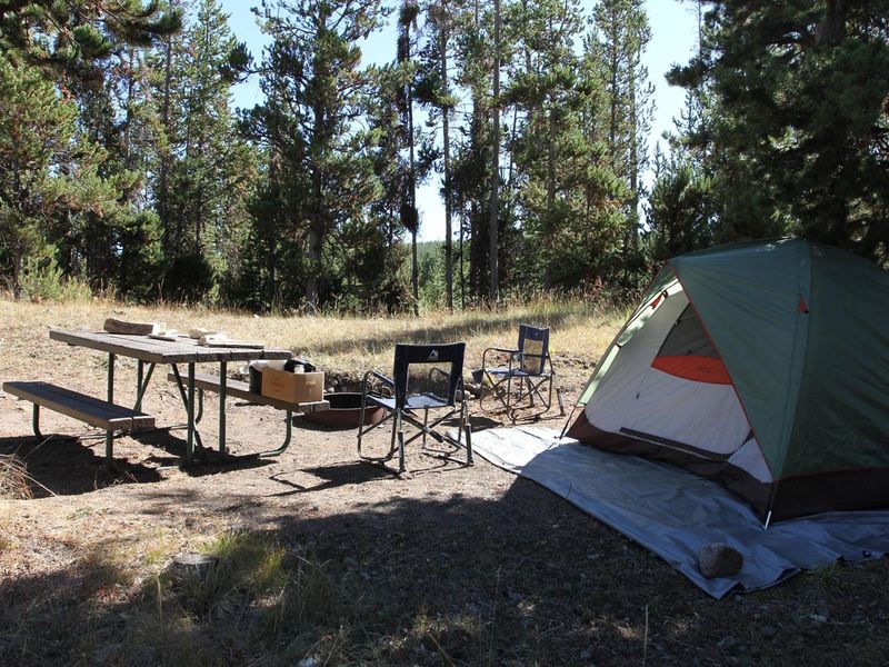 Indian Creek Campground site #73